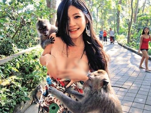動物也好色:喜歡非禮美女的好色動物組圖