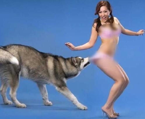 動物也好色:喜歡非禮美女的好色動物組圖
