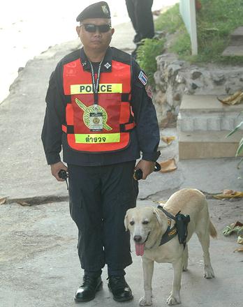 泰國警方為加強攻擊力給警犬配槍，警犬專用手槍肩套(組圖)