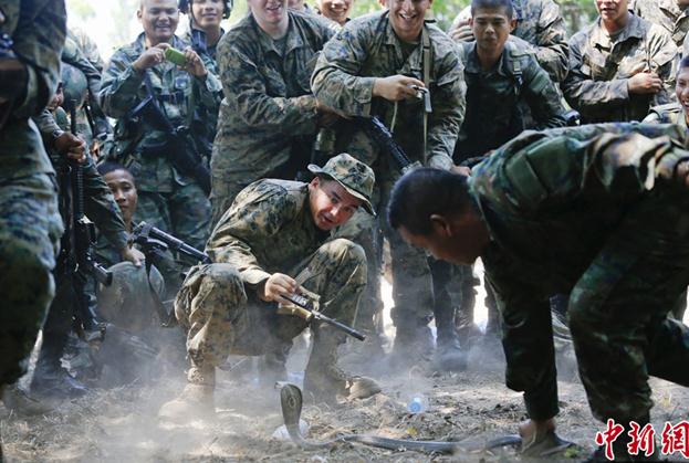 2013“金色眼鏡蛇”聯(lián)合軍演演習(xí),美軍士兵叢林生存訓(xùn)練生吃眼鏡蛇血組圖