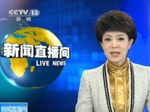 ?央視女主播文靜賣萌 “我去吃巧克力，一會兒見”