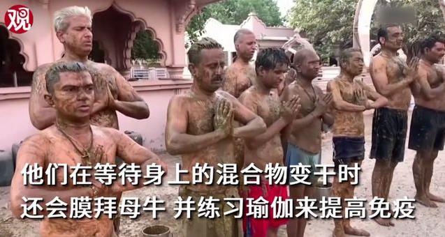 印度民眾涂滿牛糞抵御新冠,專家警告牛糞能抵御新冠病毒沒科學(xué)依據(jù)