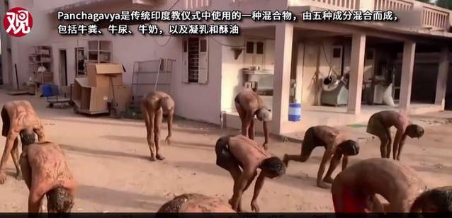 印度民眾涂滿牛糞抵御新冠,專家警告牛糞能抵御新冠病毒沒科學(xué)依據(jù)