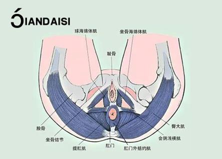 產(chǎn)后漏尿嚴(yán)重怎么治療?介紹2個經(jīng)驗(yàn)