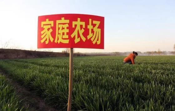 2021年家庭農(nóng)場(chǎng)補(bǔ)貼領(lǐng)取需要什么條件?補(bǔ)貼標(biāo)準(zhǔn)是多少錢(qián)?