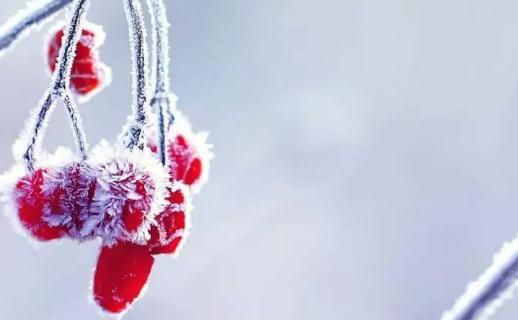 節(jié)氣三候是什么意思?春分三候是什么?