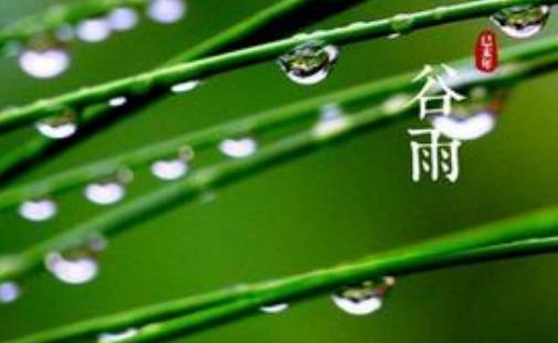 谷雨節(jié)氣代表什么?谷雨節(jié)氣含義是什么?