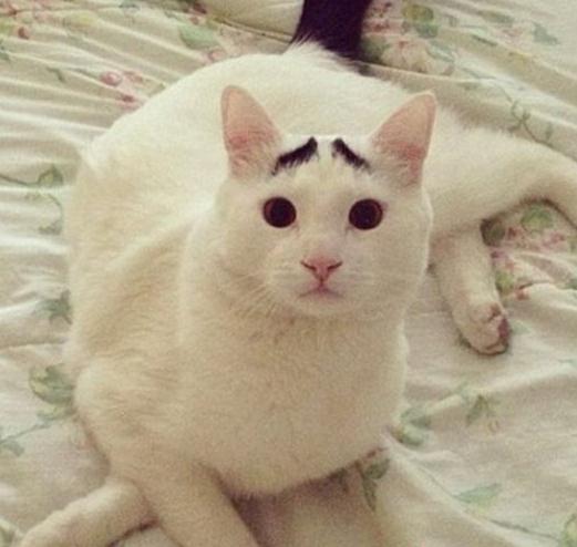 ü؈ɽķWjt؈üĘuȇ