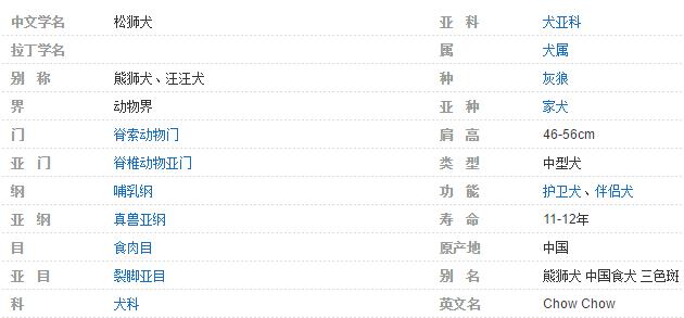 松獅犬簡(jiǎn)介介紹