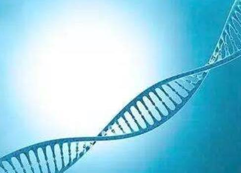 男性的性欲逐漸下降影響夫妻生活和諧 推薦6種食物增性欲
