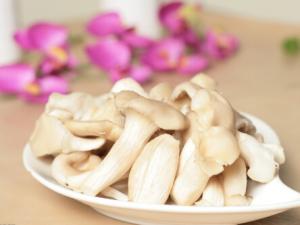 平菇的適宜人群與營(yíng)養(yǎng)-平菇怎么做好吃？