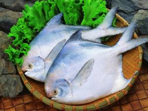 紅燒鯧魚(yú)的做法-清蒸鯧魚(yú)的做法