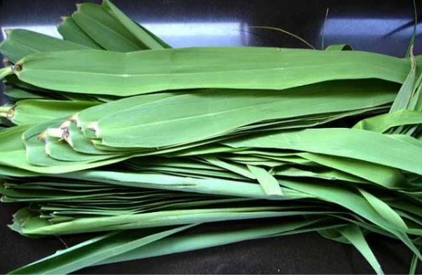 粽子怎么包?粽子煮多久才會(huì)熟?粽子葉是用什么葉子?