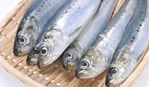 帶魚段為什么比帶魚便宜?帶魚段該怎么處理