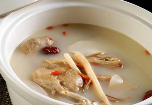 鴿子湯怎么燉不油?鴿子湯的燉法