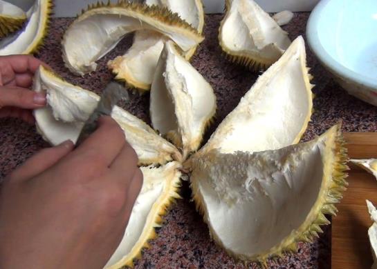 榴蓮殼煲湯是上火的嗎?榴蓮殼煲湯需要曬干嗎?