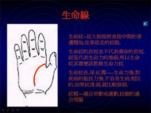 教你如何看手相？看手相算命圖解大全