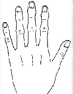 ܌W(xu)