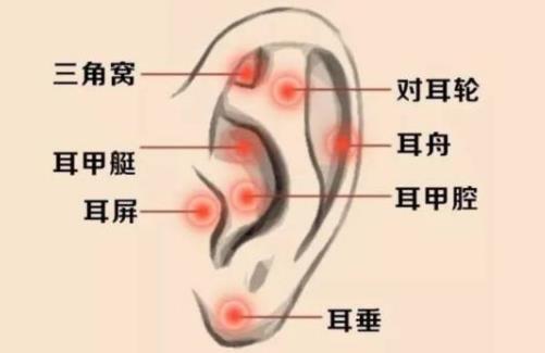 耳垂面相:從耳垂看一個(gè)人的性格與運(yùn)勢(shì)