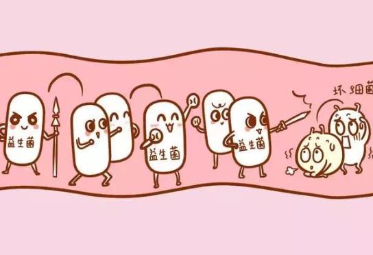 不滿月的寶寶可以吃益生菌嗎?寶寶益生菌在什么時(shí)候吃比較好?