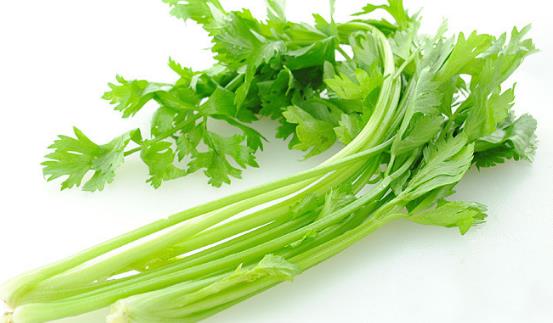 芹菜種植時間是什么時候?芹菜最佳種植時間