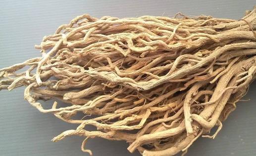春天可以喝黃芪水嗎 什么季節(jié)可以喝黃芪水