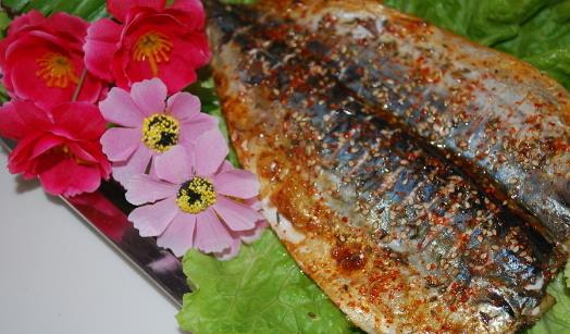 鲅魚什么時候上市 鲅魚上市時間