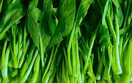 春天能種油菜嗎?油菜春天什么時(shí)候種植?