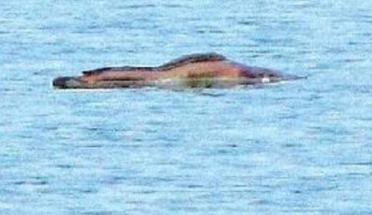 六、廣東湛江湖光巖水怪.jpg