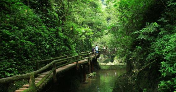 3、青城山.jpg