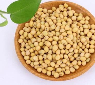蛋白質(zhì)含量高的十種食物排名,海參、螺旋藻蛋白質(zhì)都很高