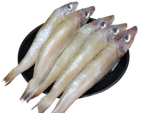 最適合孩子吃的海鮮,龍利魚(yú)有助視力健康、白對(duì)蝦促進(jìn)發(fā)育