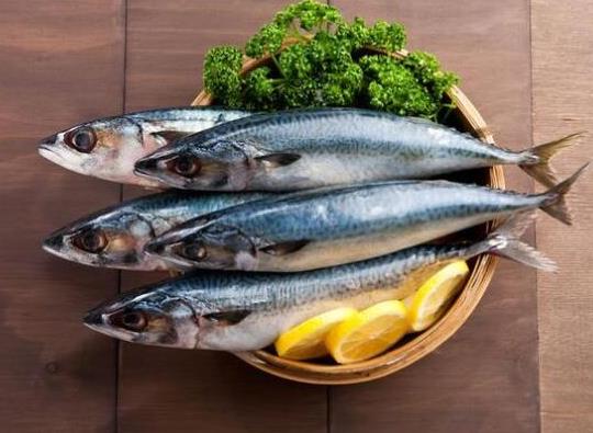 中國(guó)最常吃的十種淡水魚(yú),草魚(yú)能開(kāi)胃滋補(bǔ)、鯖魚(yú)魚(yú)肉堅(jiān)實(shí)