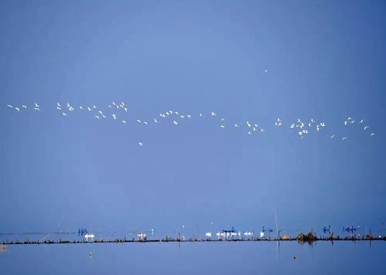 湖北十大著名湖泊排名,東湖觀賞項目多、洪湖被稱為“湖北之腎”
