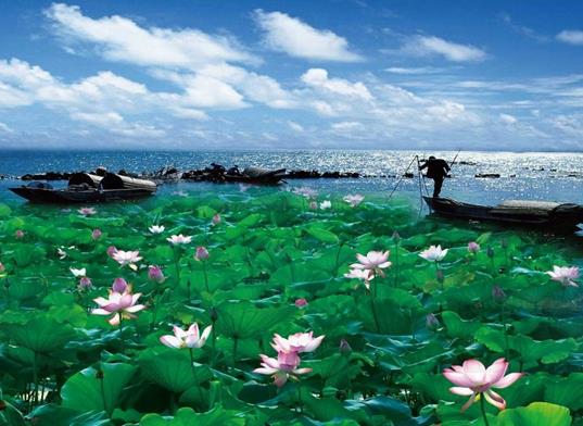 湖北十大著名湖泊排名,東湖觀賞項目多、洪湖被稱為“湖北之腎”