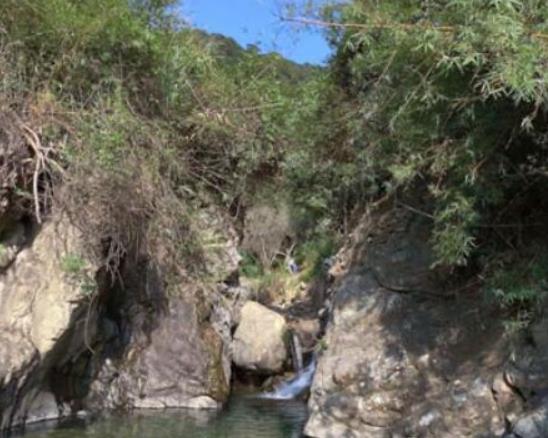 廣州十大自駕游景點(diǎn),廣東石門國(guó)家森林公園、溪頭旅游村景區(qū)自由度高