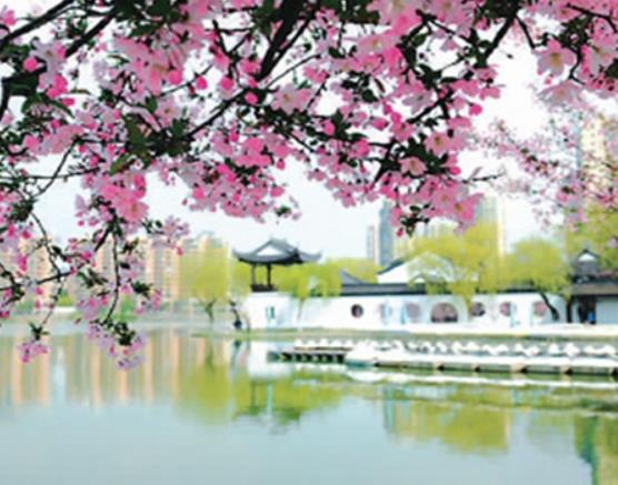南京十大著名湖泊排行榜,紫霞湖是5A級景區(qū)、玄武湖夜游也很美