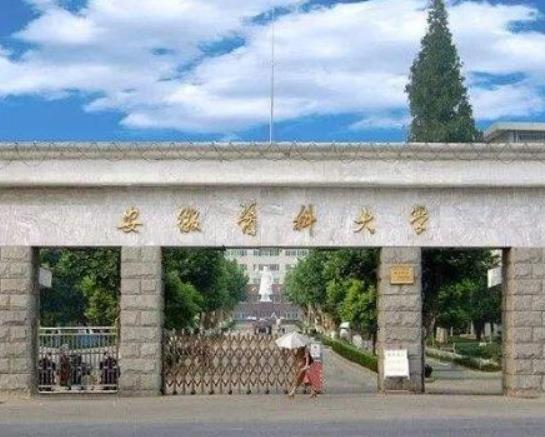 安徽最好的十所大學(xué)排名,中國科學(xué)技術(shù)大學(xué)、合肥工業(yè)大學(xué)教學(xué)質(zhì)量優(yōu)異