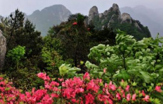 安徽旅游景點(diǎn)排行榜 安徽有什么好玩的地方去旅游