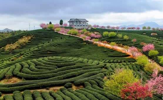 廣東省梅州市十大旅游景點(diǎn)排行榜 梅州有什么好玩的地方