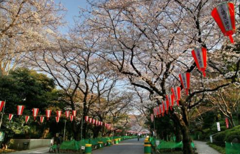 日本十大旅游景點(diǎn)排行榜 日本有什么好玩的地方