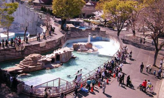 日本愛知縣十大旅游景點(diǎn)排行榜 愛知縣有什么好玩的地方