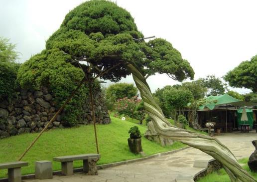 韓國濟(jì)州島十大旅游景點(diǎn)排行榜 濟(jì)州島有什么好玩的地方