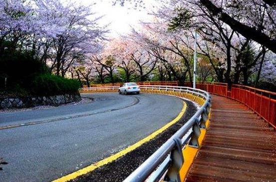 韓國(guó)釜山十大旅游景點(diǎn)排行榜 釜山有什么好玩的地方