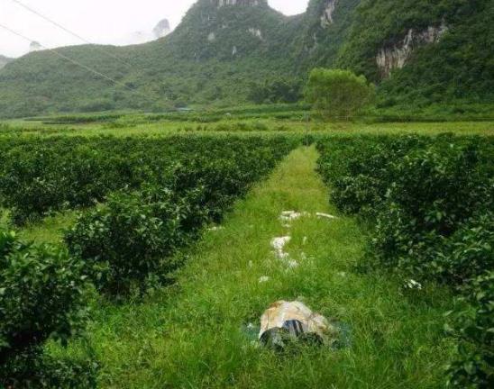 法國阿爾薩斯大區(qū)十大旅游景點排行榜 好玩的地方推薦