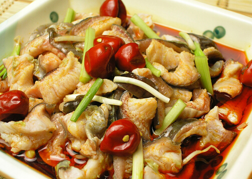 鰱魚的營(yíng)養(yǎng)價(jià)值與功效-鰱魚的適用人群