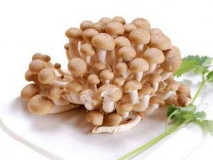 孕婦能吃蟹味菇嗎？吃蟹味菇有什么好處