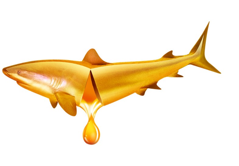 魚(yú)肝油什么時(shí)候吃最好?魚(yú)肝油的功效與作用