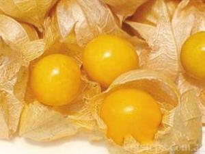 東北姑娘兒果是什么水果？姑鳥兒的營養(yǎng)價值