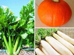 什么食物維生素a多？維生素a的作用及功能